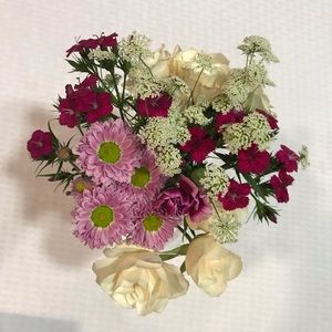 Meet your Posher, Paula